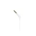 Philips TAE1105WT/00 headphones/headset Wired In-ear Music White