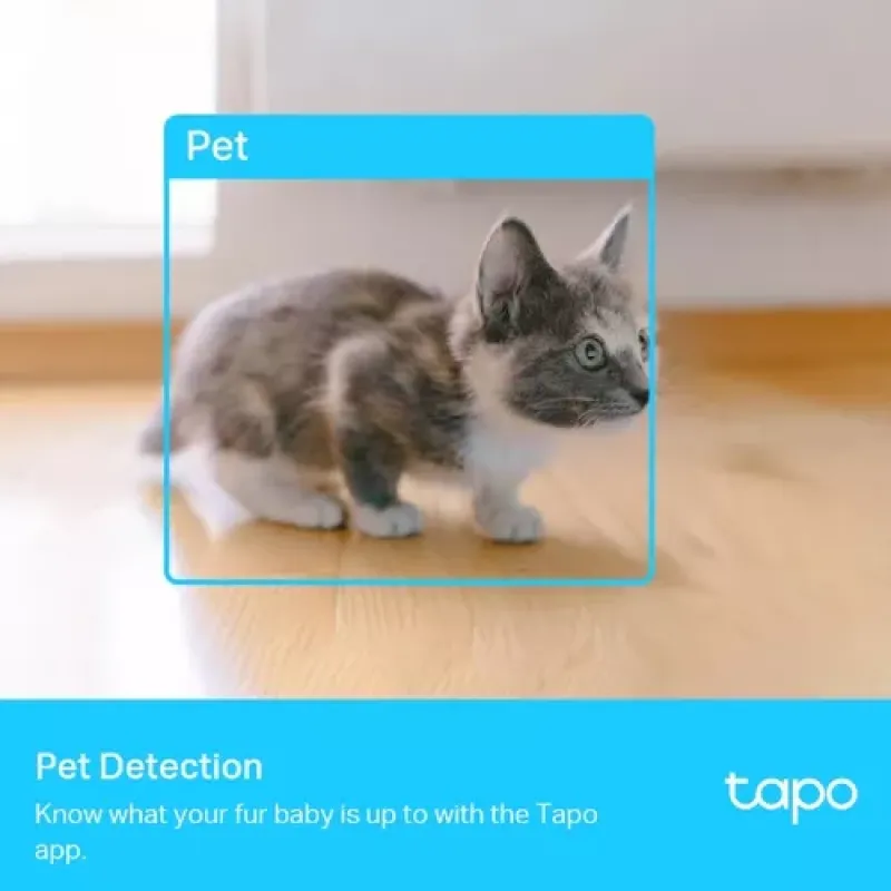 TP-Link Tapo C225 Tower IP apsaugos kamera Vidaus 2560 x 1440 pikseliai Stalas