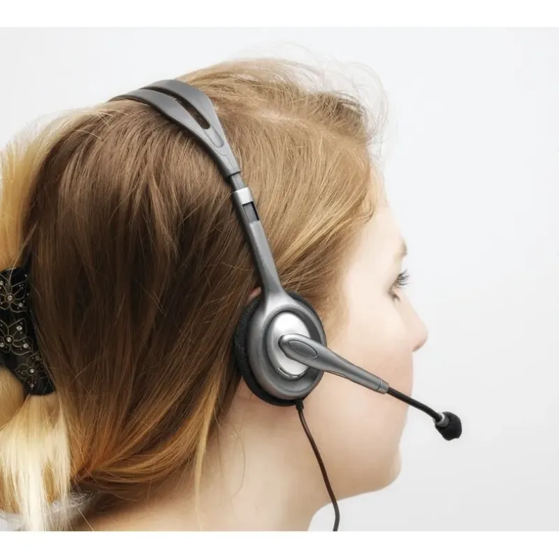Logitech H111 Auriculares Alámbrico Diadema Oficina/Centro de llamadas Gris