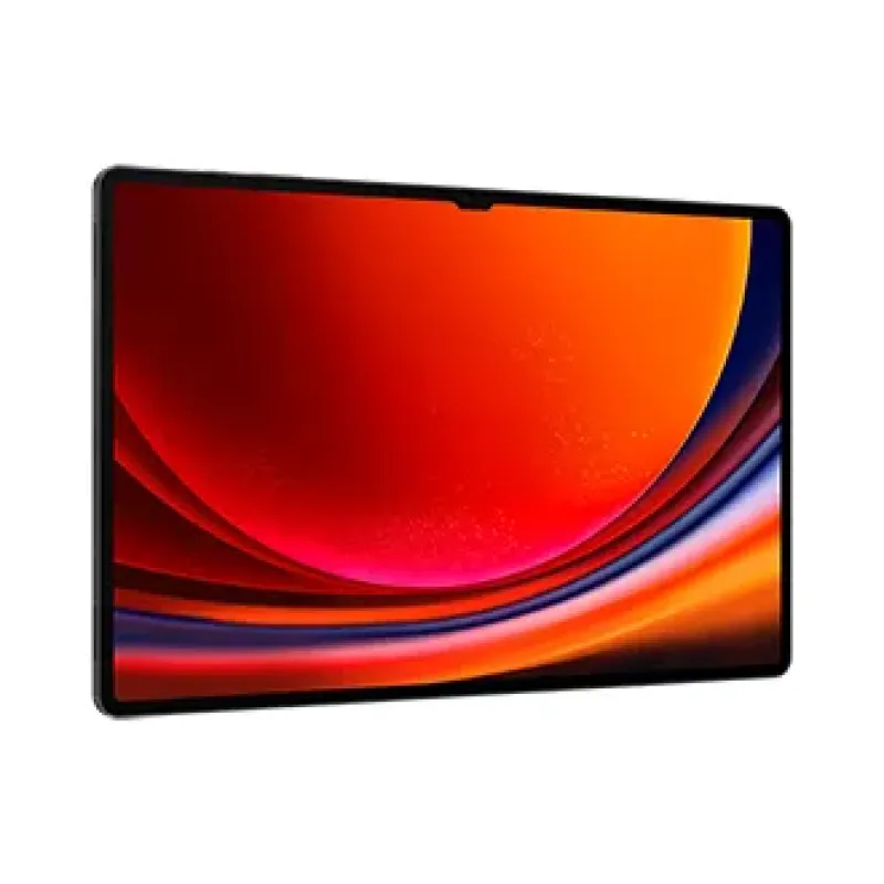 Samsung Galaxy Tab S9 Ultra SM-X916B 5G Qualcomm Snapdragon LTE-TDD & LTE-FDD 256 GB 37,1 cm (14.6") 12 GB Wi-Fi 6 (802.11ax) Android 13 Grafitas