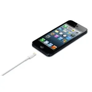 Apple Lightning / USB 0,5 m Blanco